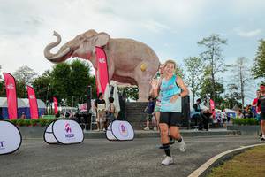 BIB: 
                            <button type="button" onclick="openModal(26528991)" class="btn btn-primary btn-sm float-right btn-popup" data-toggle="modal" data-target=".modal-high-quality">
                        <i class="fas fa-shopping-cart"></i> Add to Cart
                    </button>
                                            <button type="button" onclick="isThisMe(26528991, true)" class="btn btn-success btn-sm float-right btn-popup btn-isme hidden" data-toggle="tooltip" data-placement="bottom" title="นี่คือรูปของคุณใช่ไหม คลิกที่นี่เพื่อเอาเข้าอัลบั้ม">
                        <i class="fas fa-plus"></i> Add to album
                    </button>
                    <button type="button" onclick="isThisMe(26528991, false)" class="btn btn-warning btn-sm float-right btn-popup btn-isnotme hidden">
                        <i class="fas fa-ban"></i> Remove from album
                    </button>